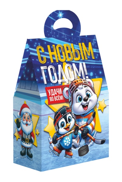 Новогодний хоккей
